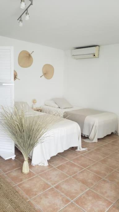 Maison Planier, Havre De Paix Proche Mer Et Centre Sausset-les-Pins Ngoại thất bức ảnh