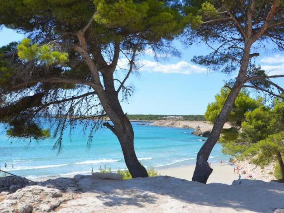 Maison Planier, Havre De Paix Proche Mer Et Centre Sausset-les-Pins Ngoại thất bức ảnh